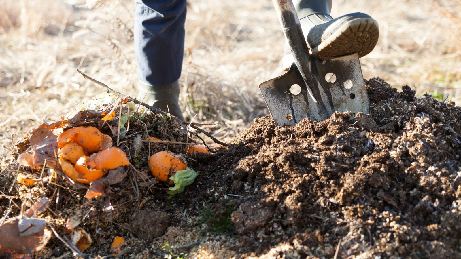 A man holding a shovel stands next to a compost bin filled with vegetable peels, surrounded by green plants and garden equipment.