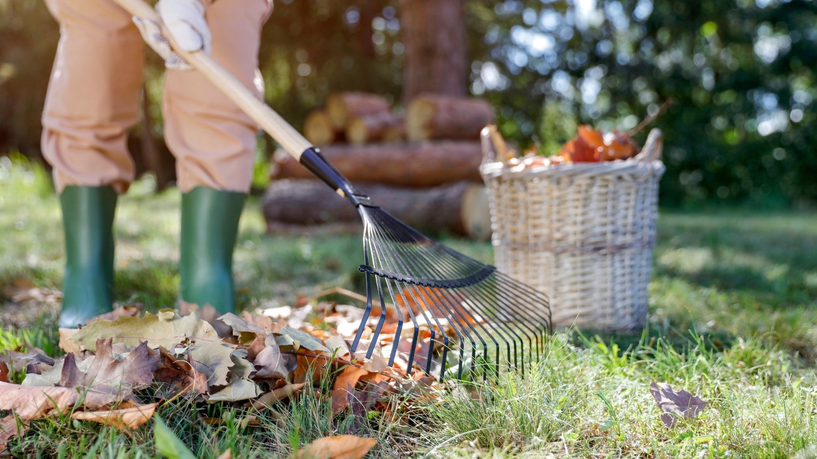 11 Fall Gardening Duties You Should not Ignore