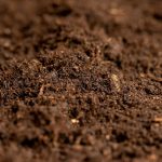 What’s Properly-Drained Soil? Easy methods to Assess Soil Drainage