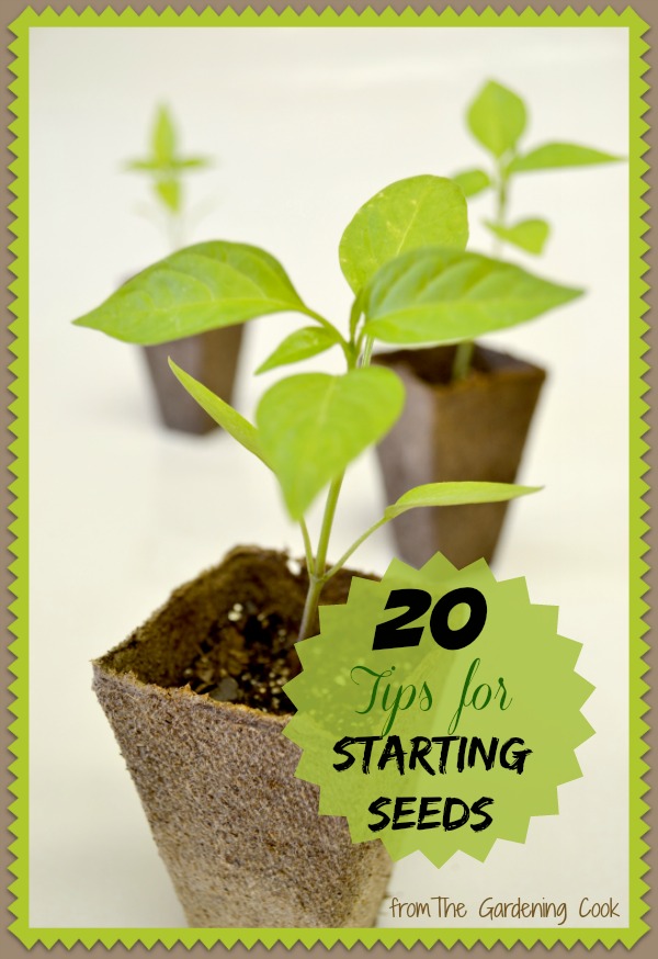 20 seed starting tips