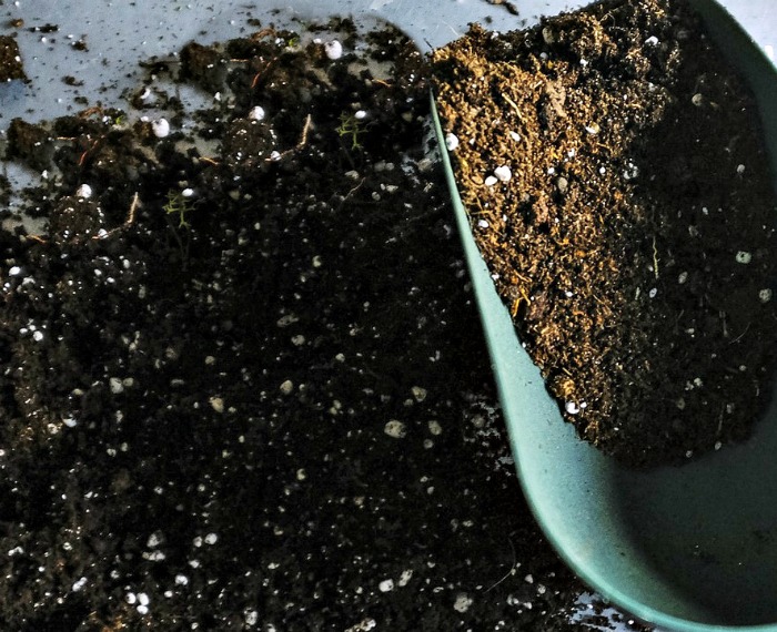 soil and a scoop