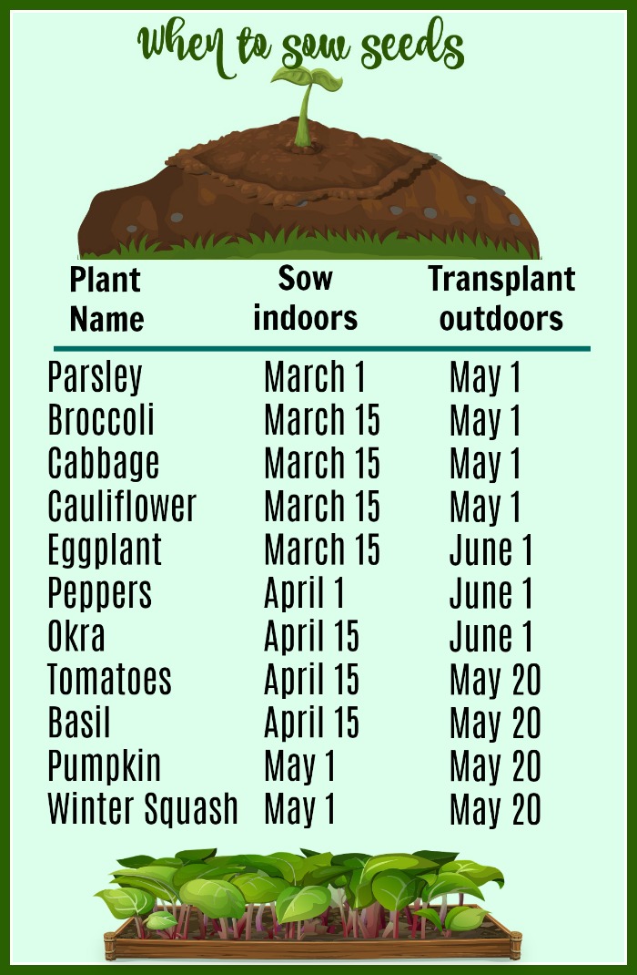 When to sow seeds