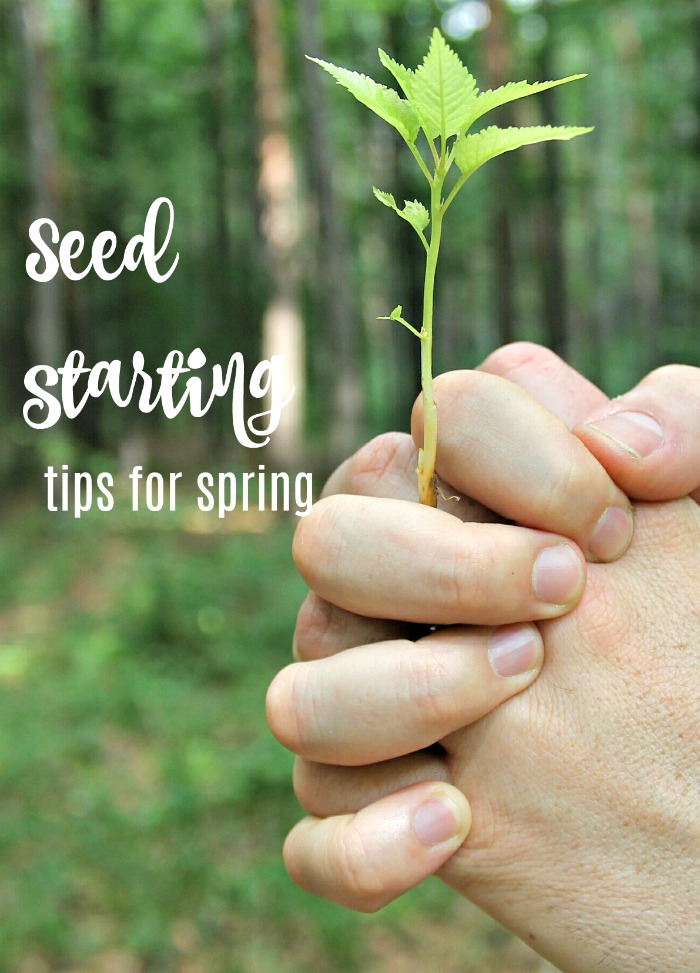 Seed starting tips for sping