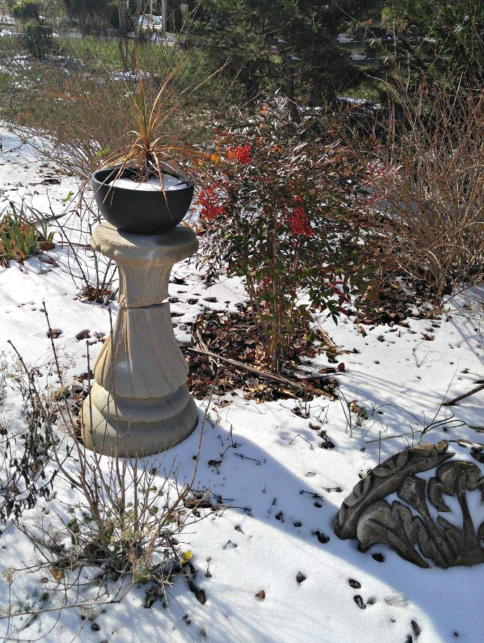 Nandinia bushes near a planter in Raleigh, NC.