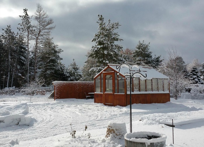 Winter snow covered greenhouse Michigan.