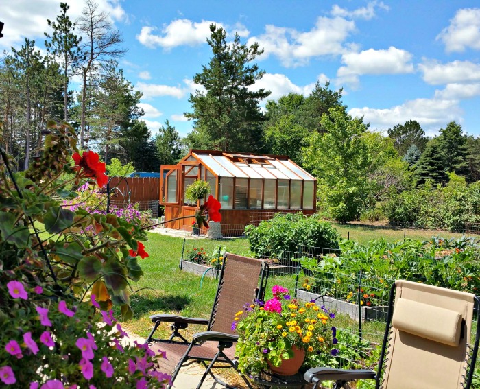 Same green house in summer in Michigan