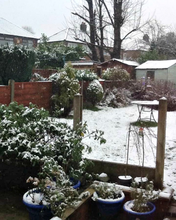 Light snow covered yard in Salford, England