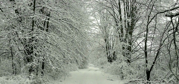 Winter wonderland scene in Southington Ohio