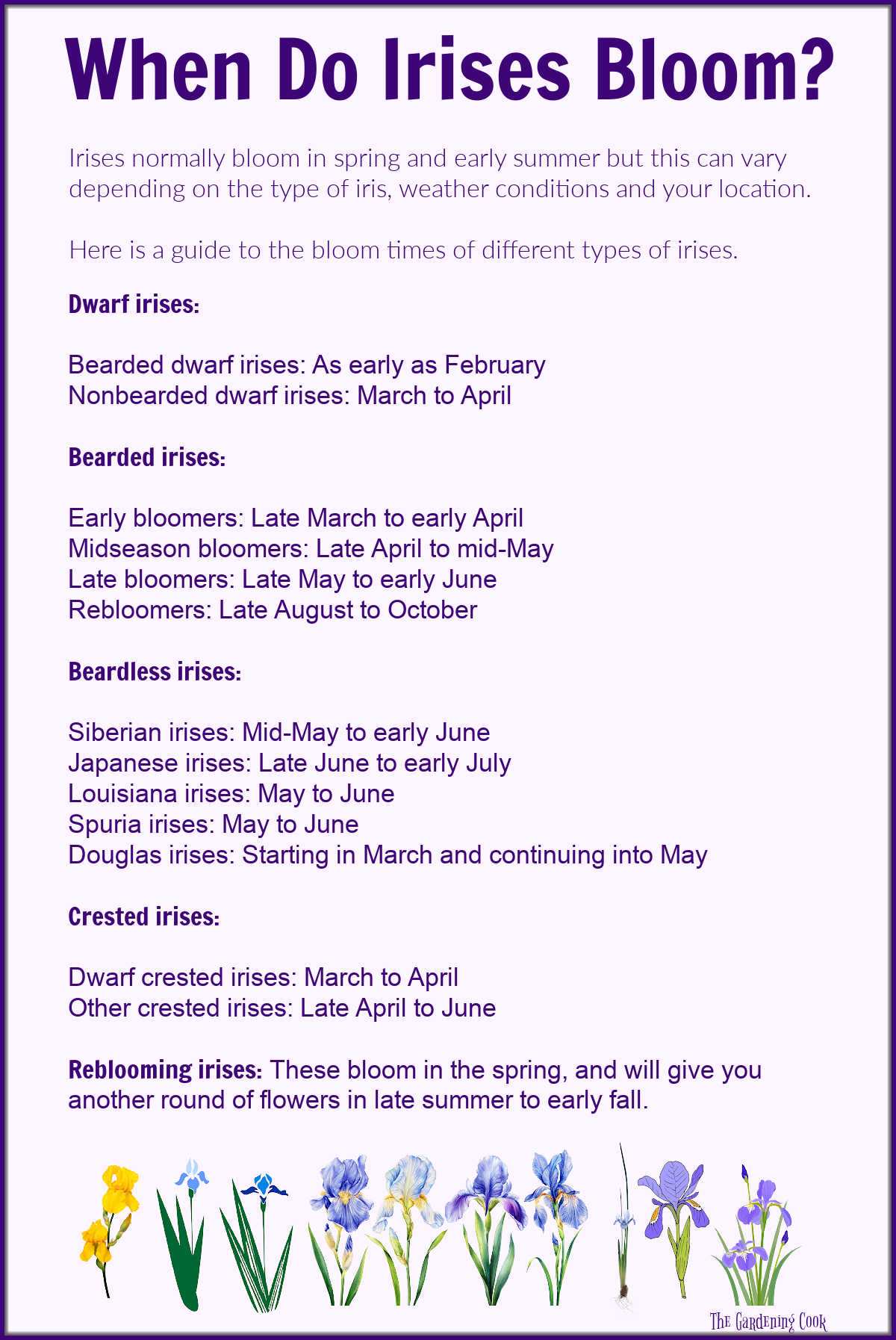 Iris images in a row below an iris bloom time printable chart with a list of iris times and flowering times.