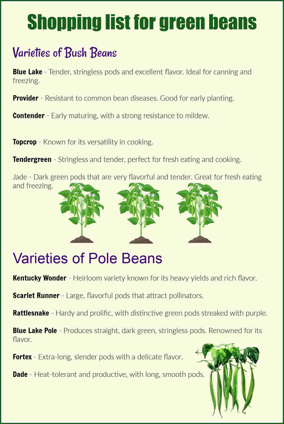 Shopping list with varieties of bush beans and pole beans to grow.