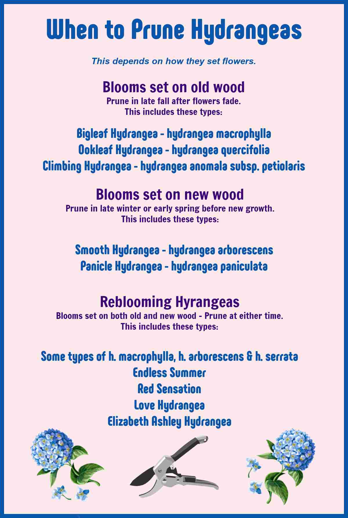 Printable showing when to prune hydrangeas by type of wood.