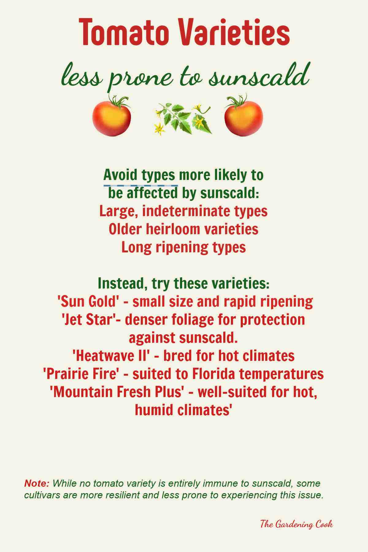 Pictures of tomatoes with sunburn and a list of varieties that are more resistant to it.