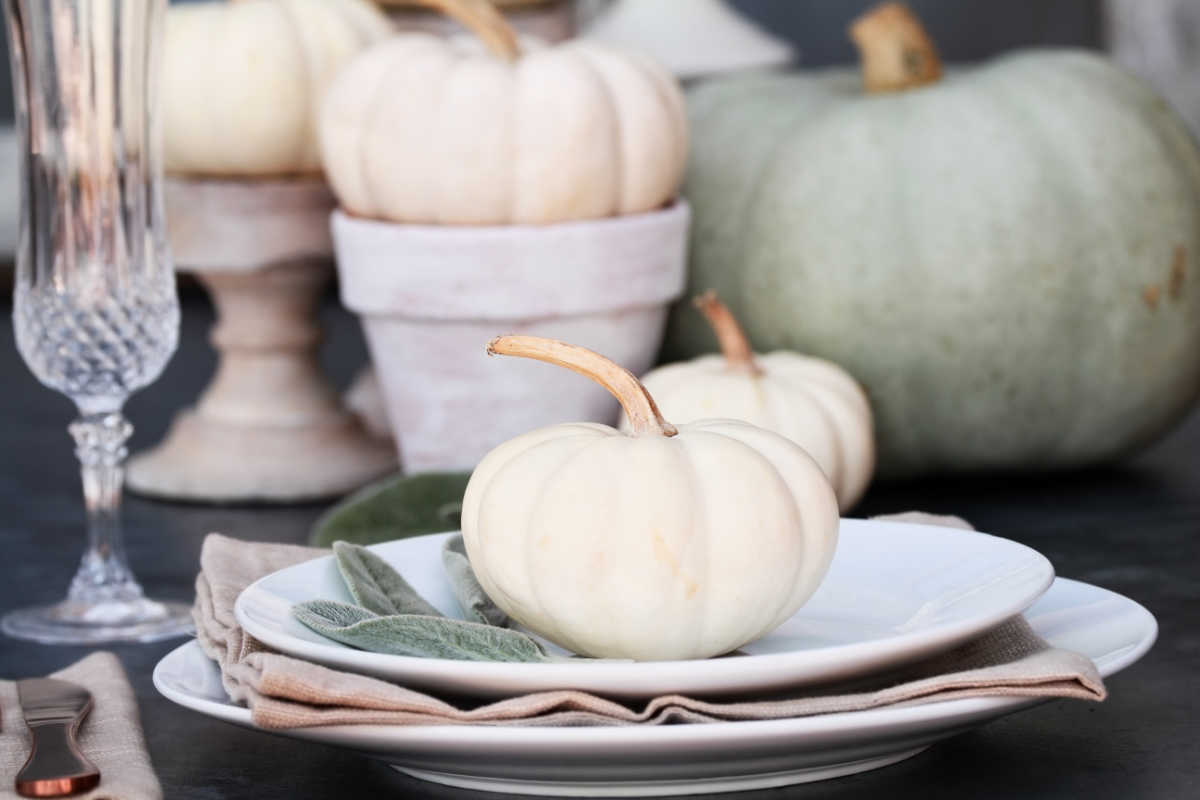 Thanksgiving tablescape with baby boo heirloom pumpkin.