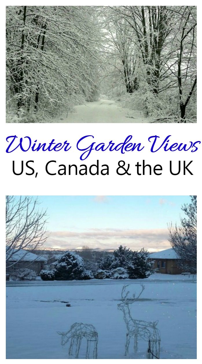 These winter garden views, from the USA, Canada and the UK show that there are some stark differences and lots of similarities when you look outside your window in winter. These photos are shared by readers of my blog. Why not share your photo too?