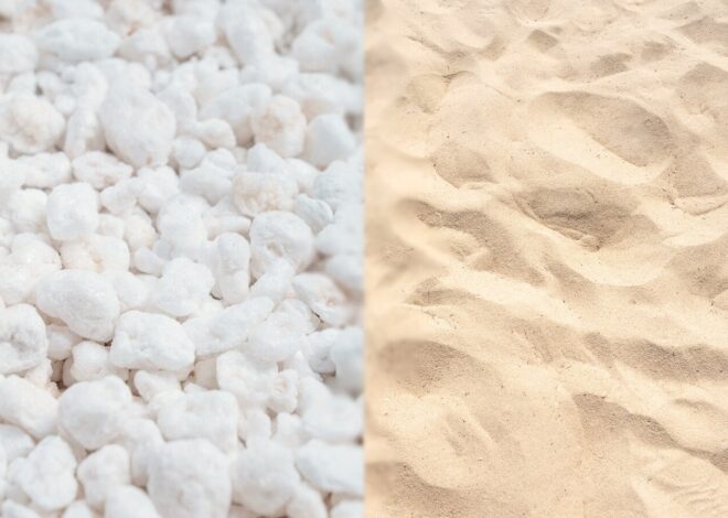 Perlite Vs. Sand: The Biggest Method to Improve Soil Drainage