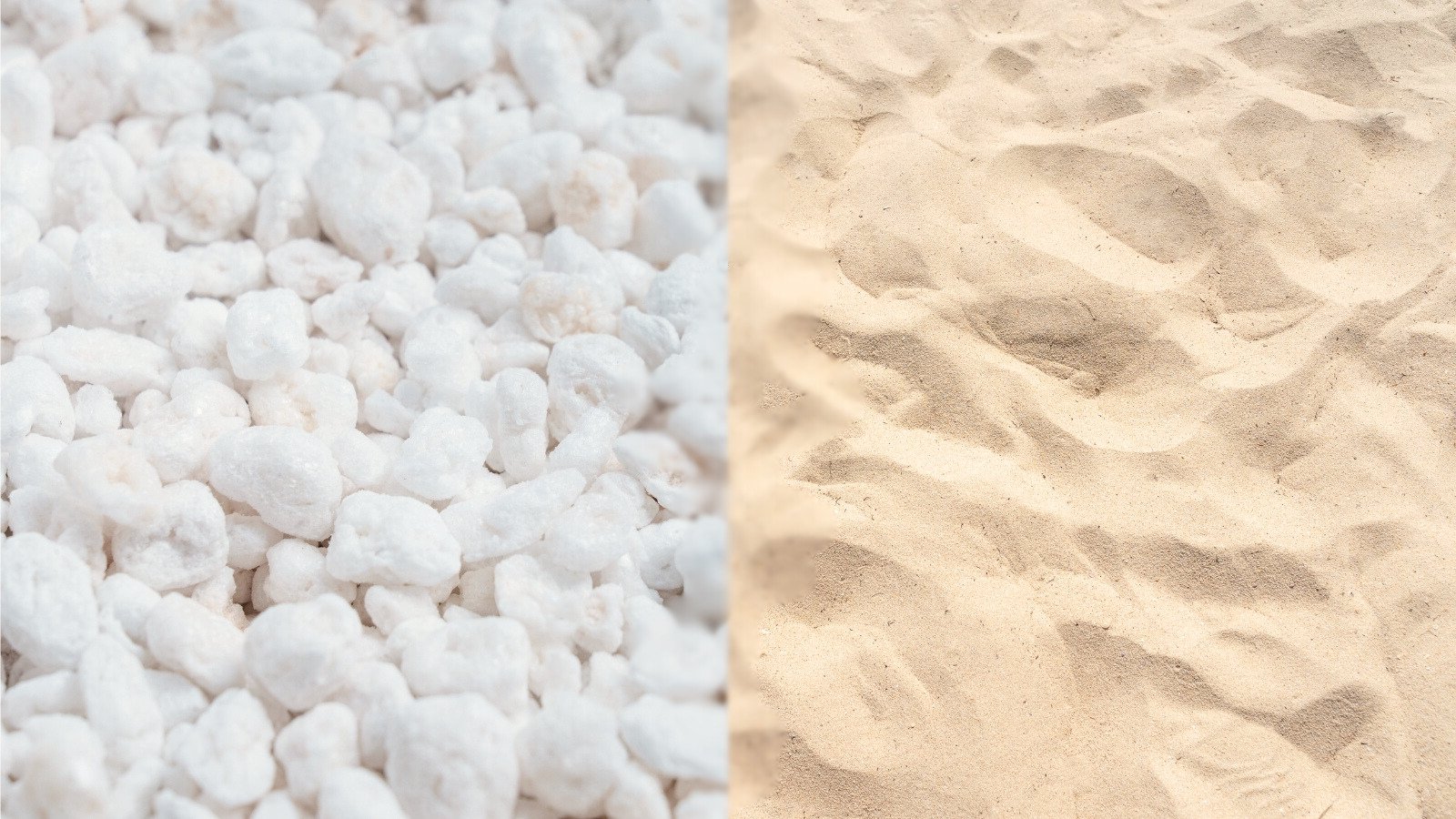 Perlite Vs. Sand: The Biggest Method to Improve Soil Drainage